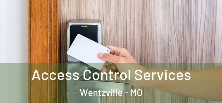 Access Control Services Wentzville - MO