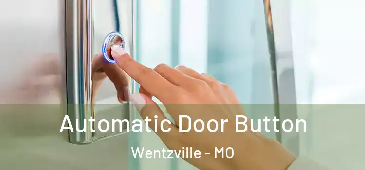 Automatic Door Button Wentzville - MO
