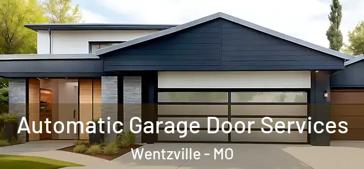  Automatic Garage Door Services Wentzville - MO