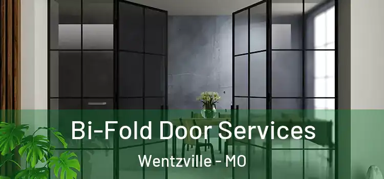 Bi-Fold Door Services Wentzville - MO