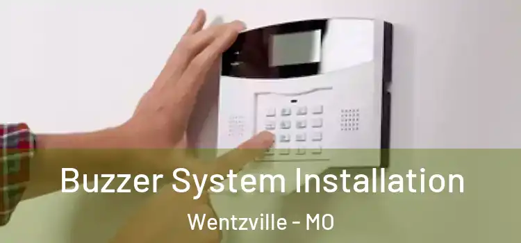 Buzzer System Installation Wentzville - MO
