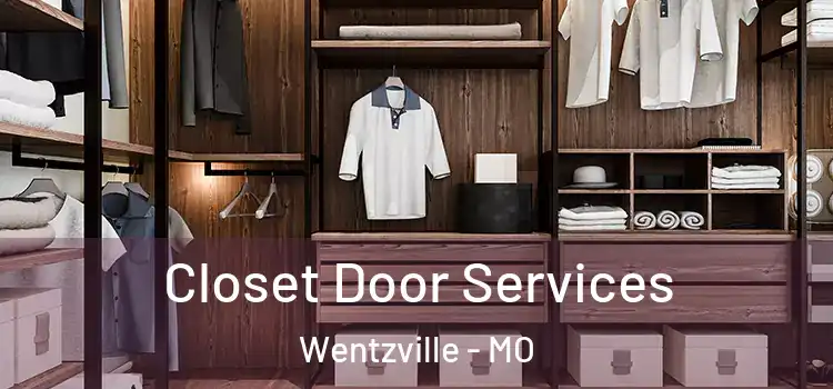 Closet Door Services Wentzville - MO