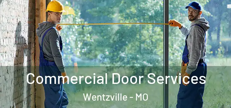 Commercial Door Services Wentzville - MO