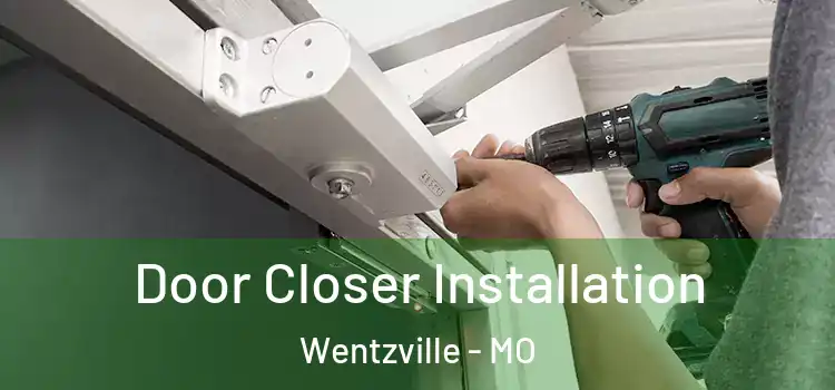  Door Closer Installation Wentzville - MO