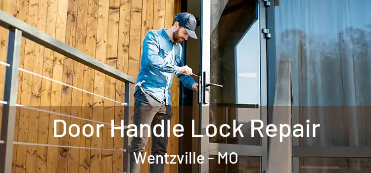 Door Handle Lock Repair Wentzville - MO