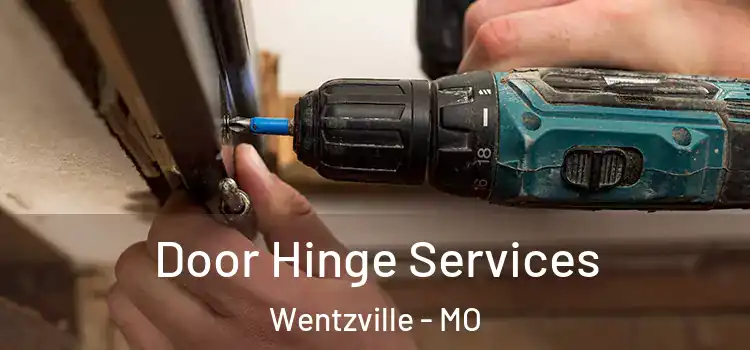 Door Hinge Services Wentzville - MO