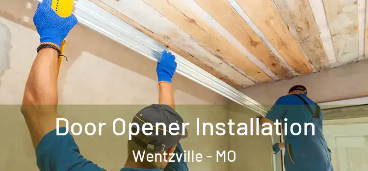 Door Opener Installation Wentzville - MO