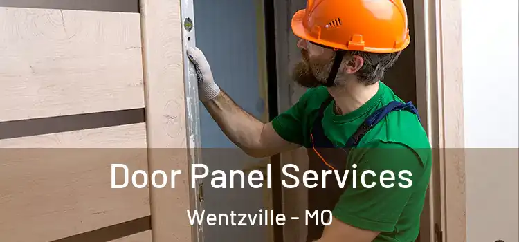 Door Panel Services Wentzville - MO
