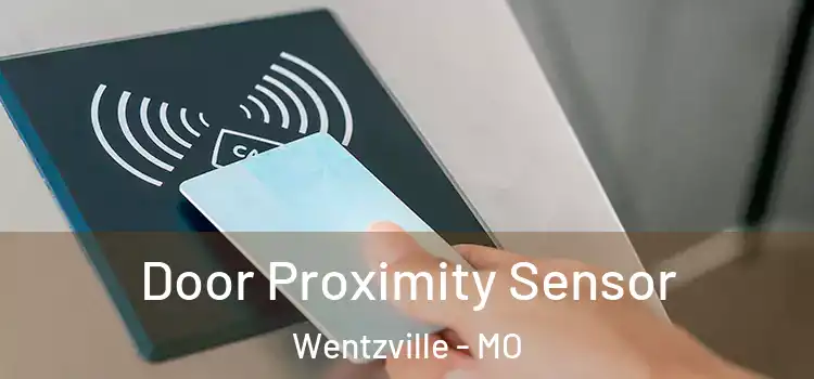 Door Proximity Sensor Wentzville - MO