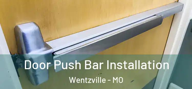 Door Push Bar Installation Wentzville - MO