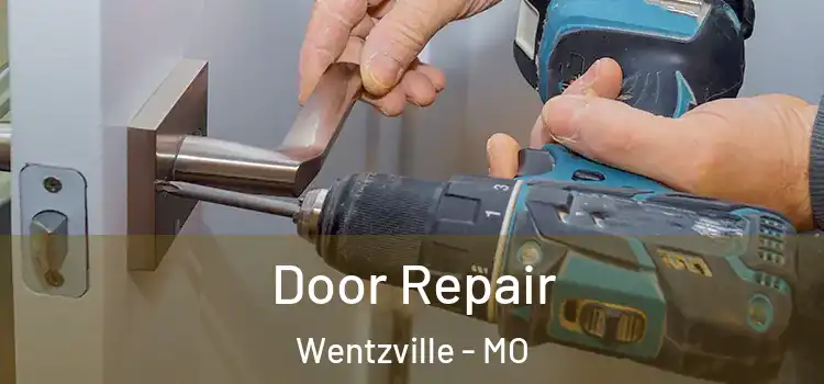 Door Repair Wentzville - MO