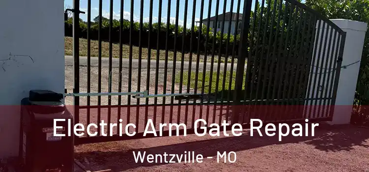 Electric Arm Gate Repair Wentzville - MO