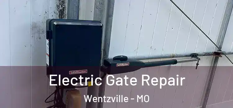 Electric Gate Repair Wentzville - MO
