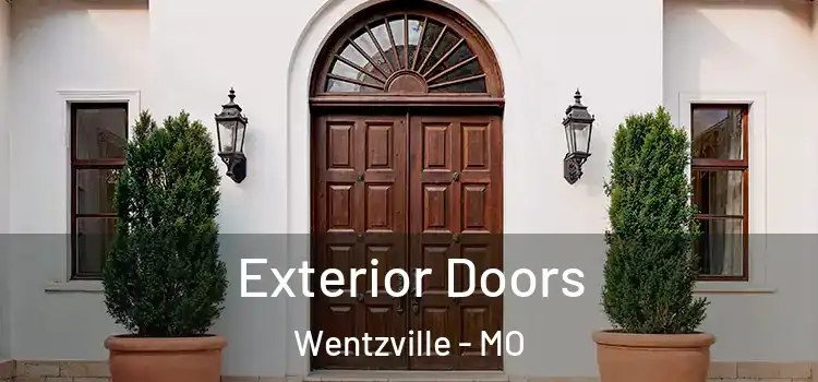  Exterior Doors Wentzville - MO