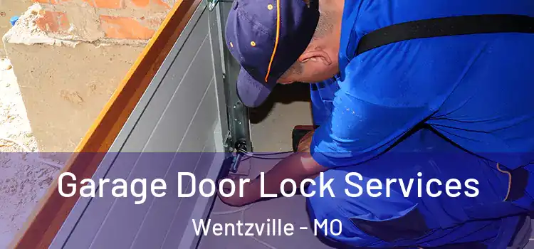 Garage Door Lock Services Wentzville - MO