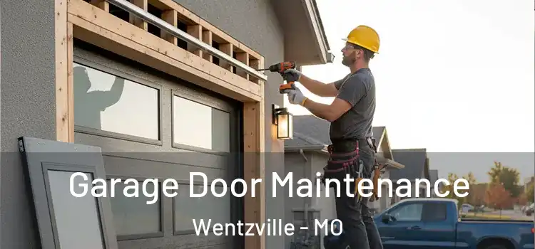 Garage Door Maintenance Wentzville - MO