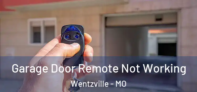  Garage Door Remote Not Working Wentzville - MO