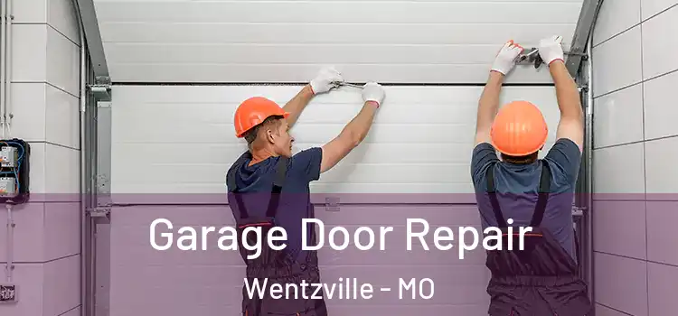  Garage Door Repair Wentzville - MO