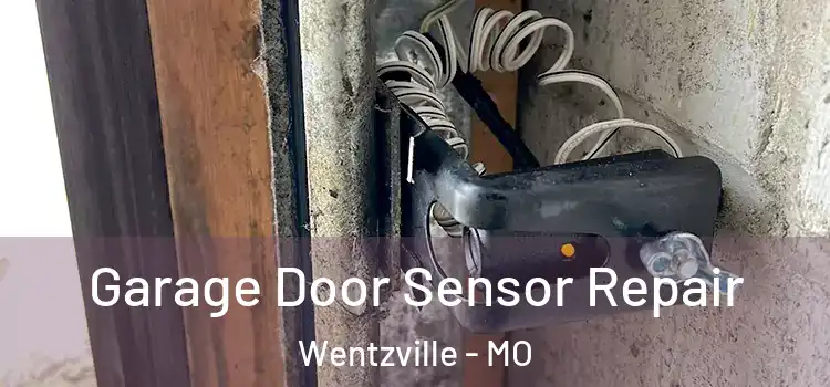 Garage Door Sensor Repair Wentzville - MO