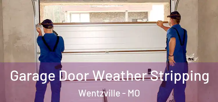  Garage Door Weather Stripping Wentzville - MO