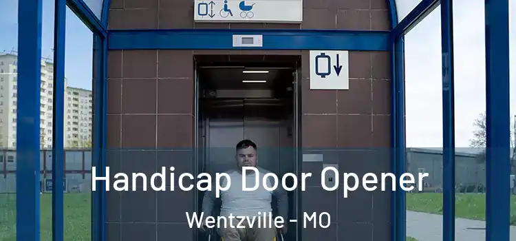 Handicap Door Opener Wentzville - MO