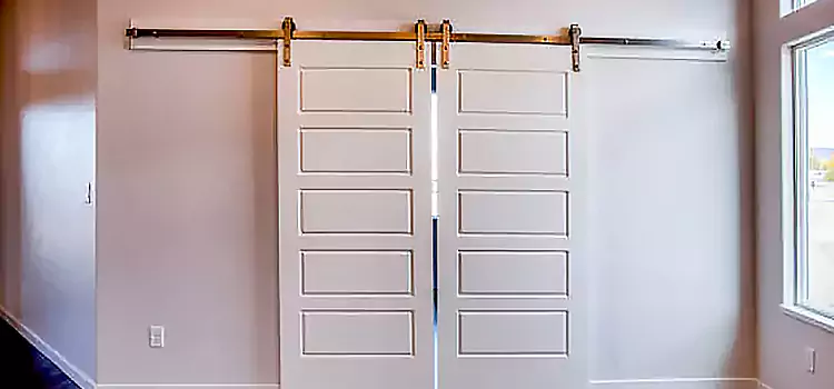 Glass Barn Door with Installation Hardware Kit Wentzville