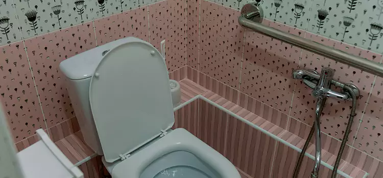 Meeting Diverse Needs With Accessible Restroom Solutions in Wentzville, MO