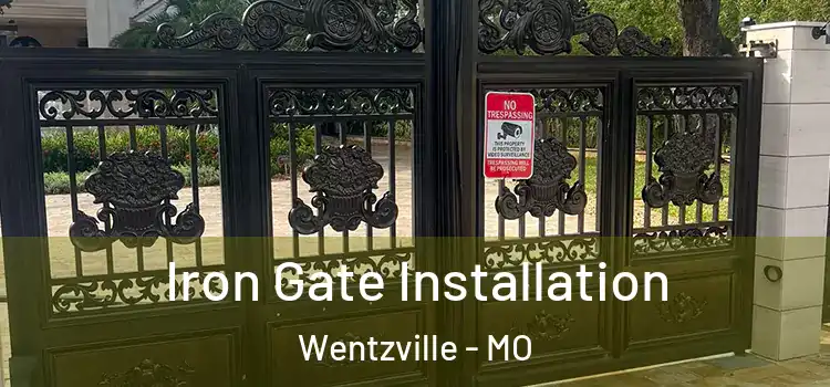 Iron Gate Installation Wentzville - MO