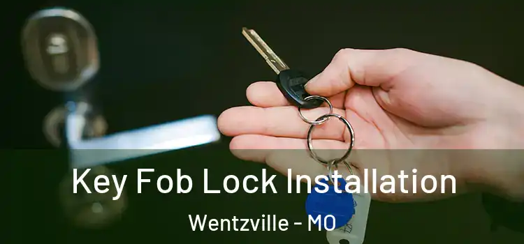 Key Fob Lock Installation Wentzville - MO