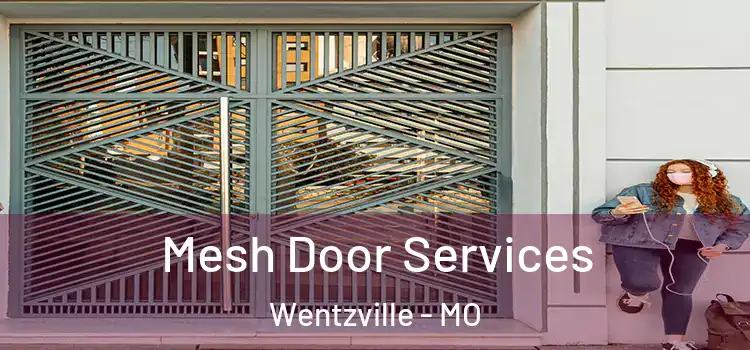 Mesh Door Services Wentzville - MO