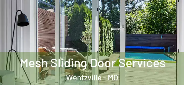 Mesh Sliding Door Services Wentzville - MO