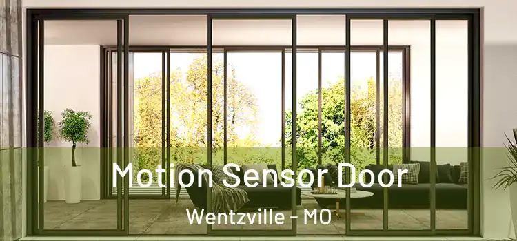 Motion Sensor Door Wentzville - MO