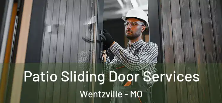 Patio Sliding Door Services Wentzville - MO