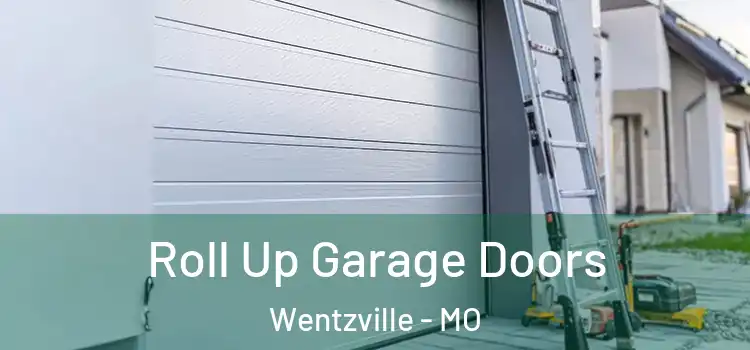  Roll Up Garage Doors Wentzville - MO