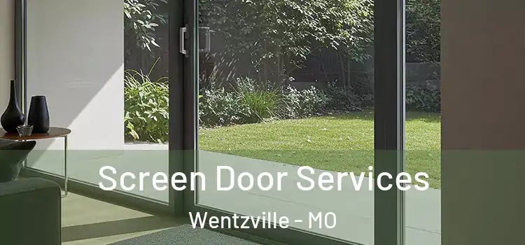 Screen Door Services Wentzville - MO