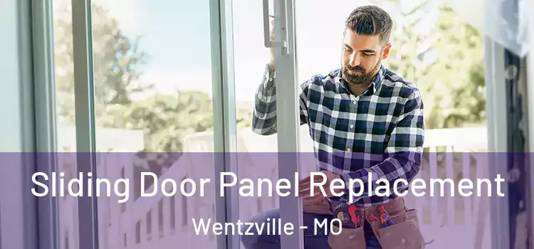  Sliding Door Panel Replacement Wentzville - MO
