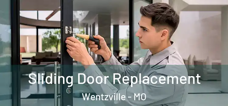  Sliding Door Replacement Wentzville - MO