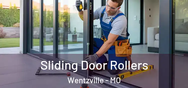 Sliding Door Rollers Wentzville - MO