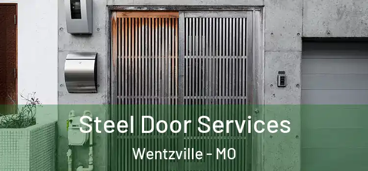 Steel Door Services Wentzville - MO