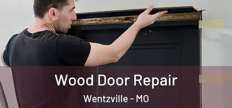 Wood Door Repair Wentzville - MO